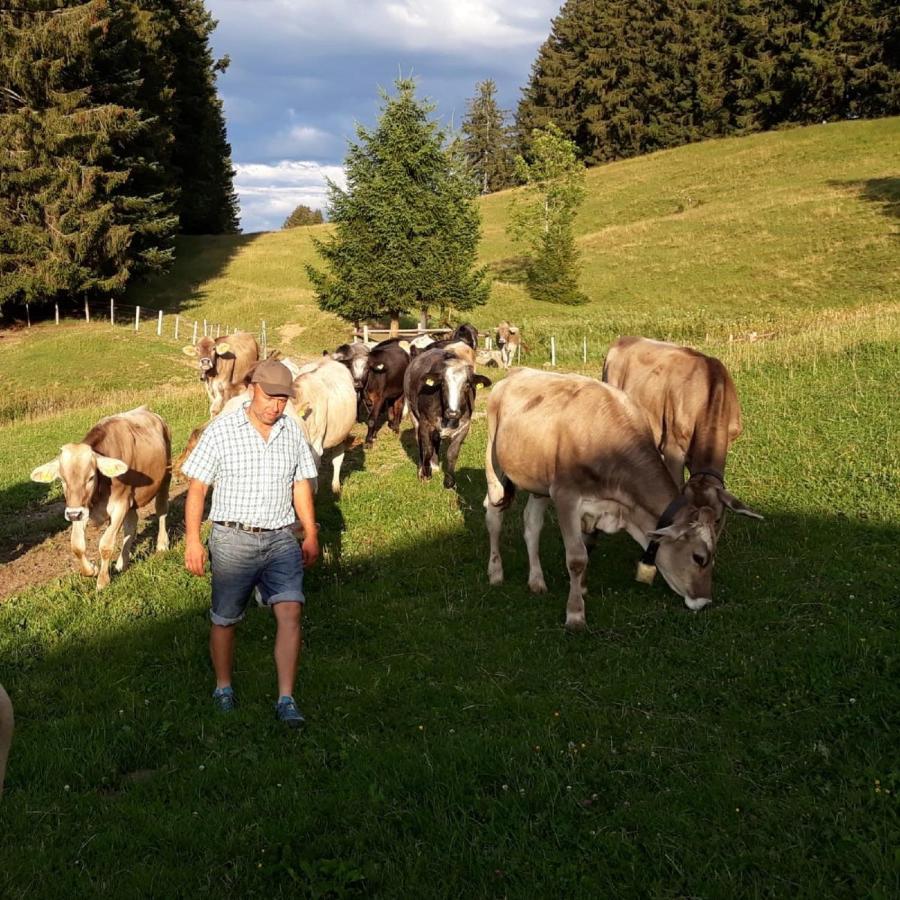 Villa Andreashof Heimenkirch Esterno foto