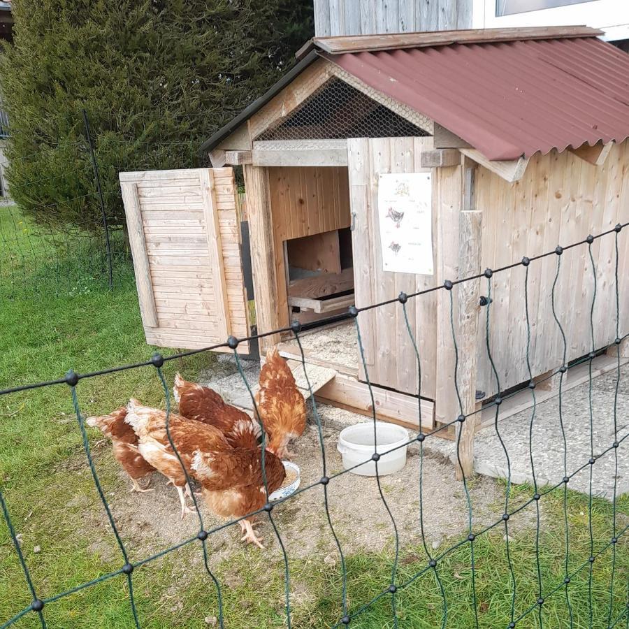 Villa Andreashof Heimenkirch Esterno foto